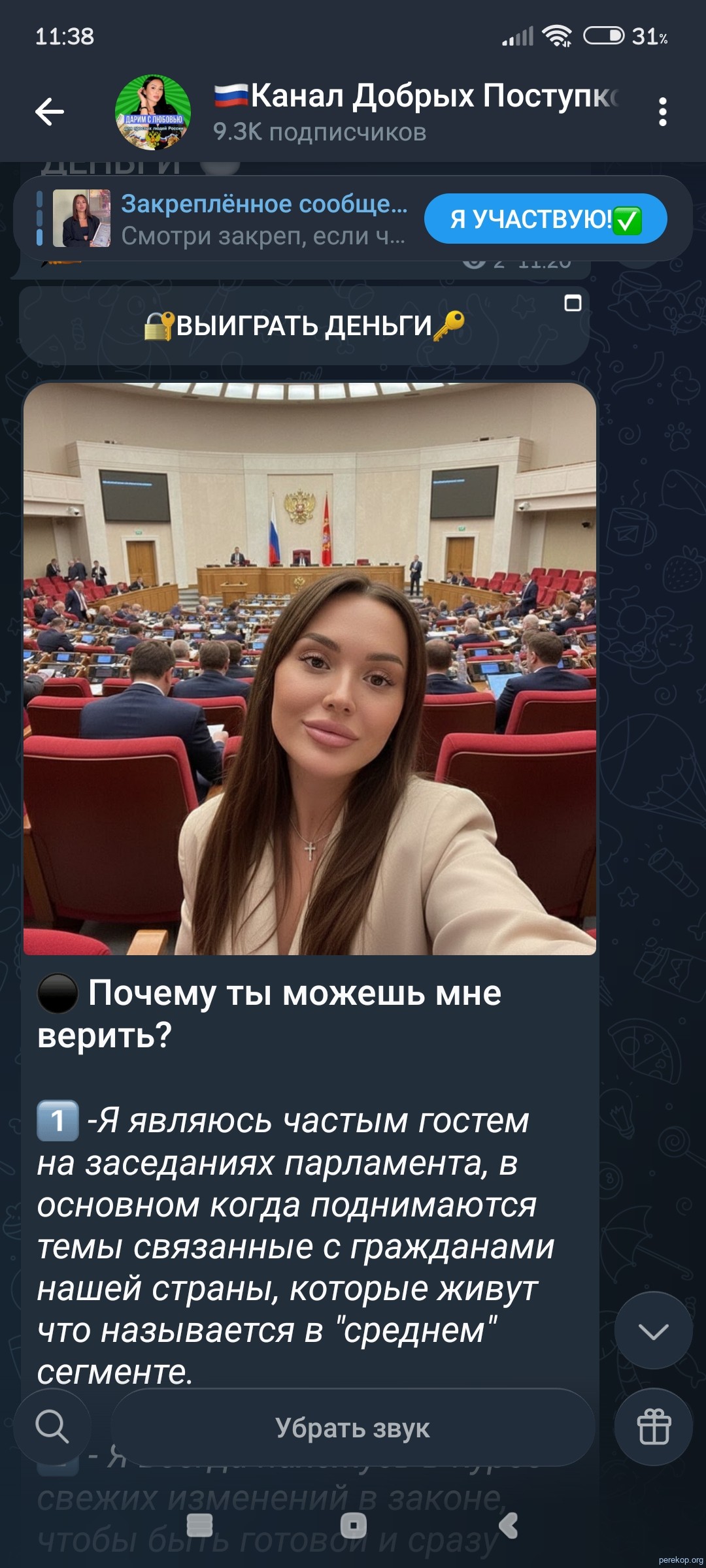 Мошенники (4)